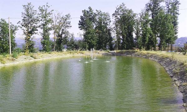 Green pond with water jets surrounded by tall trees and hills