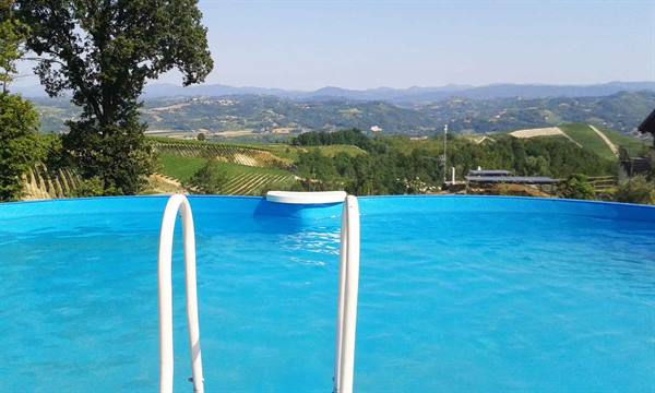 Above-ground pool with white ladder overlooking vineyards and hills