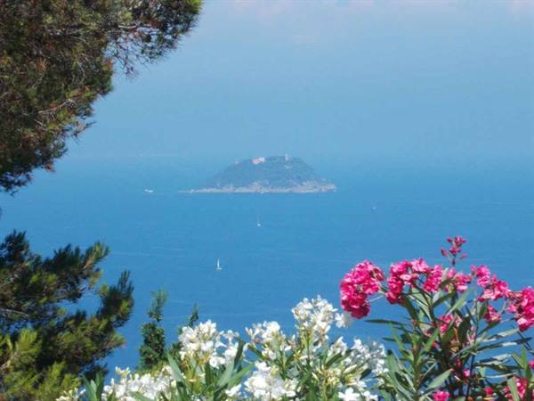 Blooming oleanders frame a green island offshore, sailboats on blue water