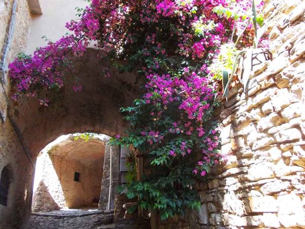 Pink bougainvillea over stone arch in sunny medieval alley