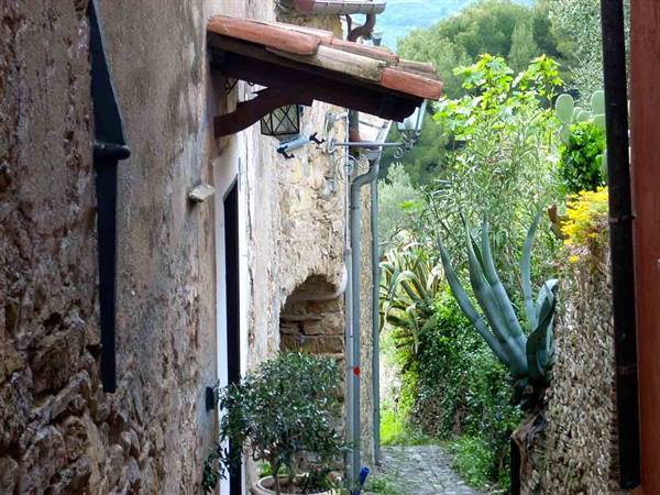 Stone alley with agave plant, tiled canopy and old rustic walls