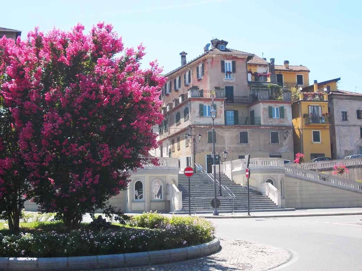 Albero fiorito rosa davanti a scalinata e palazzi antichi, luce solare