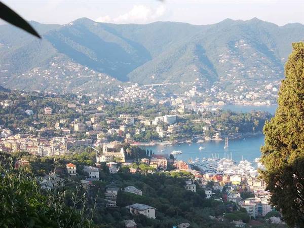 Rapallo: houses overlooking the gulf, marina with boats and green hills