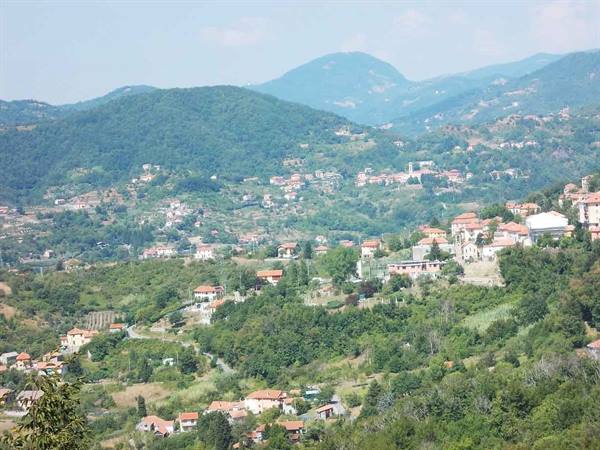 Village with red-roofed houses on green hills, mountains behind
