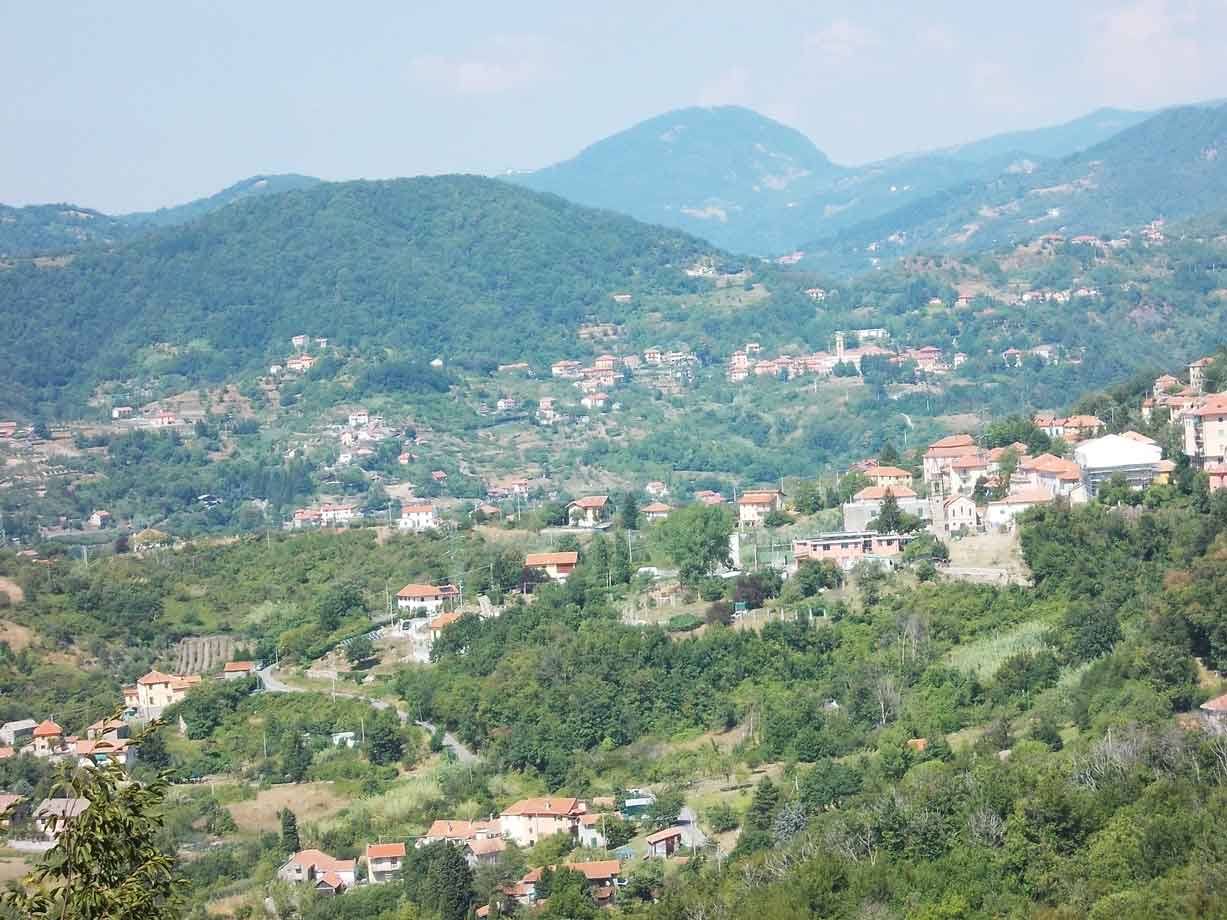 Borgo con case dai tetti rossi sulle colline verdi, montagne sullo sfondo