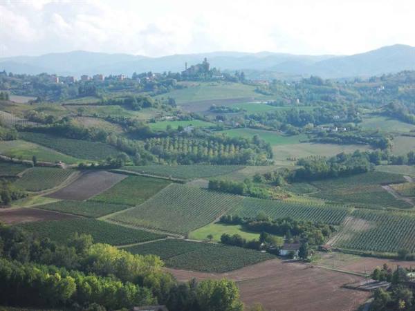 Vineyard-covered hills with distant hilltop villages under soft hazy light