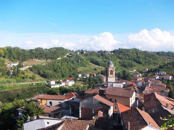 Bell tower among terracotta rooftops and vineyard-covered hills, Langhe