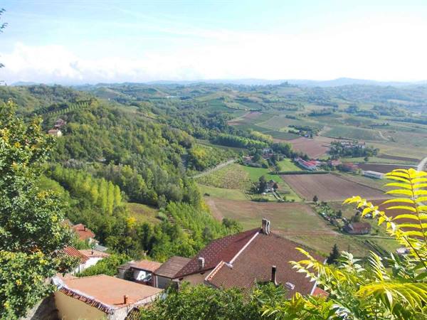 Red-tiled house rooftops above cultivated hills and green woods