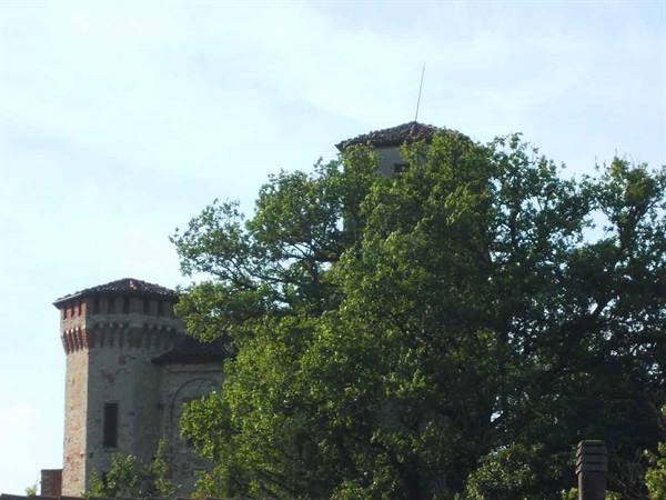 Brick castle towers emerging among green treetops under a pale sky