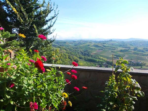 Colorful flowers on a stone wall above cultivated hills under blue sky