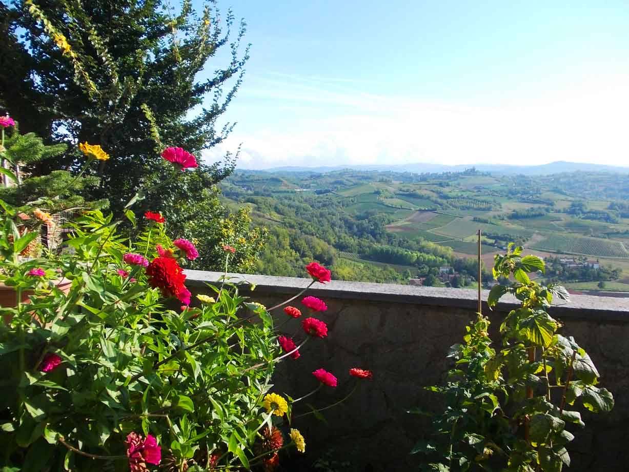 Fiori colorati su muretto di pietra sopra colline coltivate sotto cielo azzurro