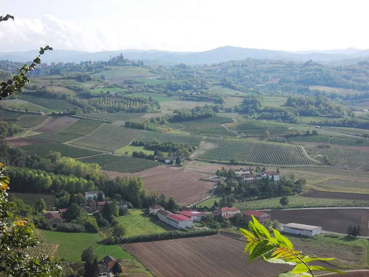 Colline con filari di viti e cascinali sotto un cielo nuvoloso
