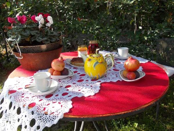 Garden table with red crocheted cloth, yellow teapot, pomegranates and cyclamen