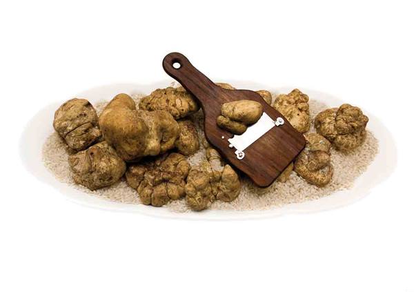 White truffles on a rice-covered plate with a wooden truffle slicer