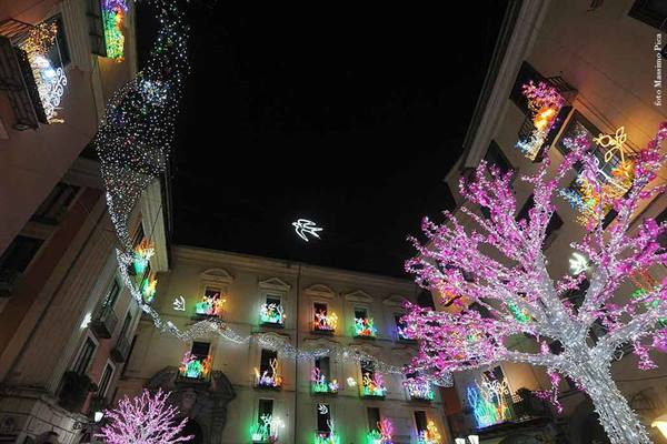 Christmas lights glowing on a building and lit tree in Salerno