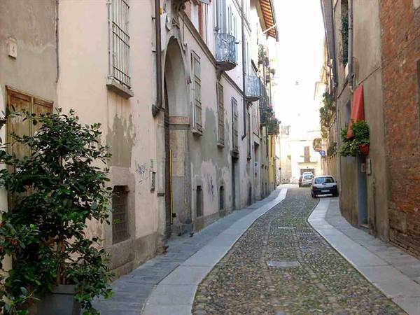 Cobblestone street between old houses, parked cars and a green bush
