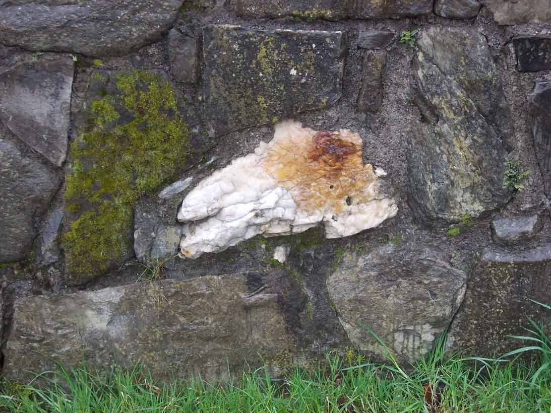 Muro di pietre grigie con muschio verde e una pietra biancastra al centro