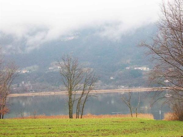 Calm lake with bare trees, reeds and misty hills