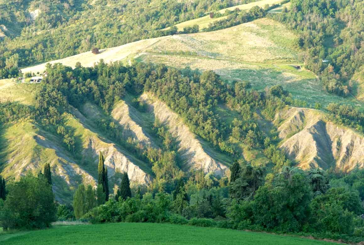 Calanchi argillosi erosi tra boschi verdi sui colli appenninici al mattino