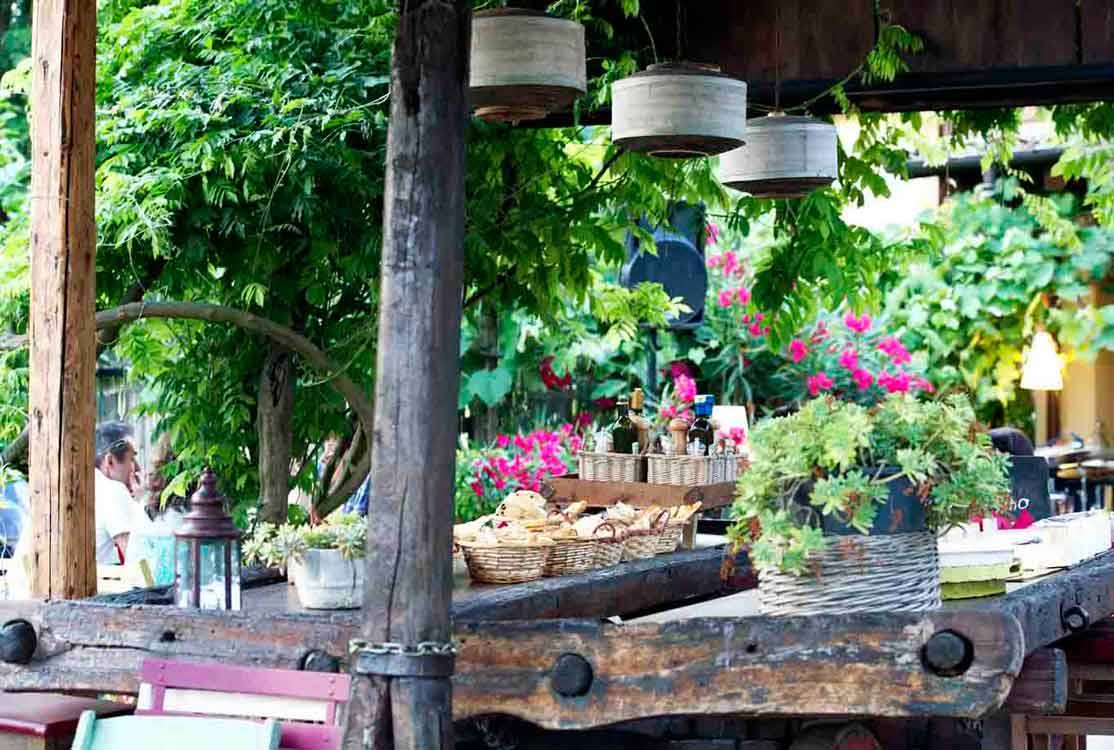 Tavolo in legno grezzo con ceste, piante e fiori rosa sotto pergolato ombreggiato
