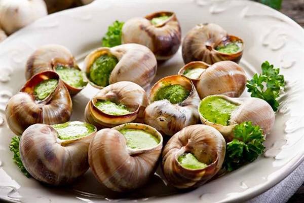Burgundy snails with garlic parsley butter served on white plate