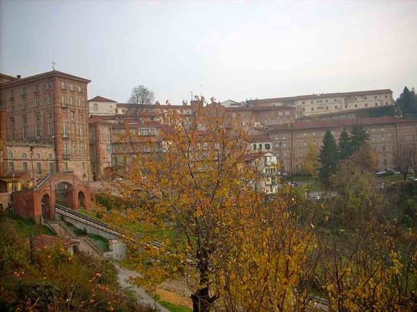 Autumn trees in front of Mondovì's historic brick buildings under grey sky