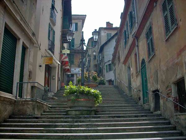 Stone staircase climbing between old houses, green shutters, planters and street lamps