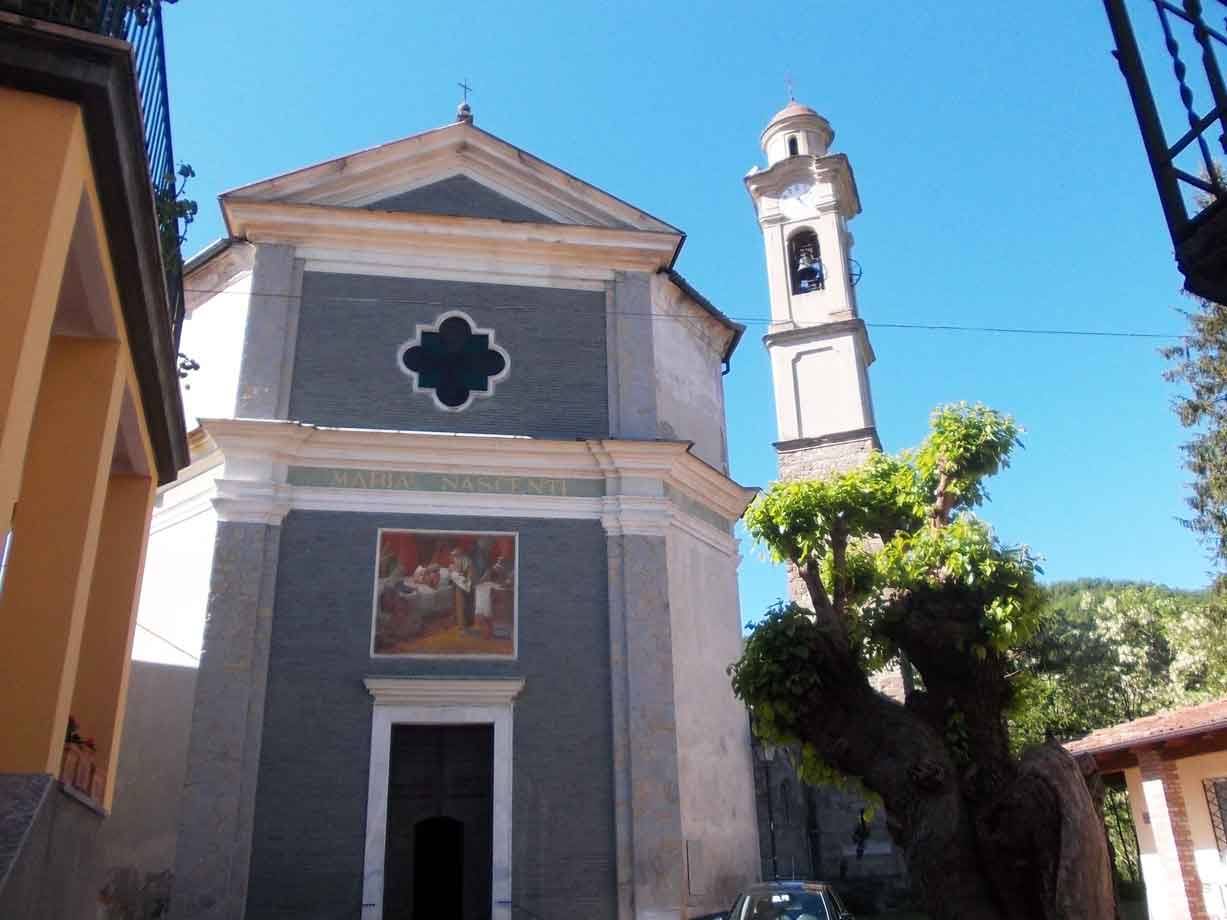 Chiesa di San Nazario con facciata grigia, campanile e albero potato