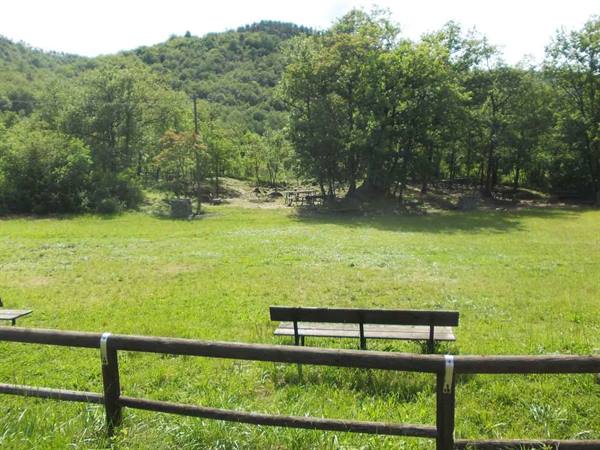 Wooden bench on green meadow, rustic fence, woods and hills behind