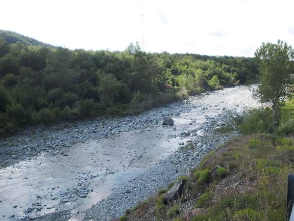 Stony river flowing between green woods in daylight
