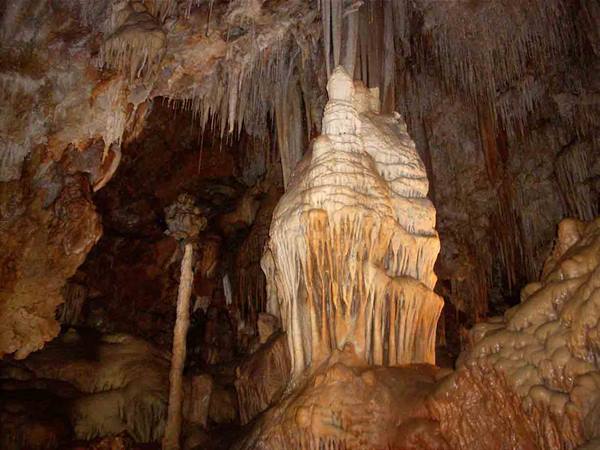Large cream stalagmite in a cave surrounded by lit stalactites