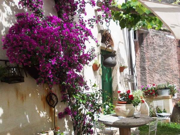 Magenta bougainvillea on white wall, stone table with geranium pot