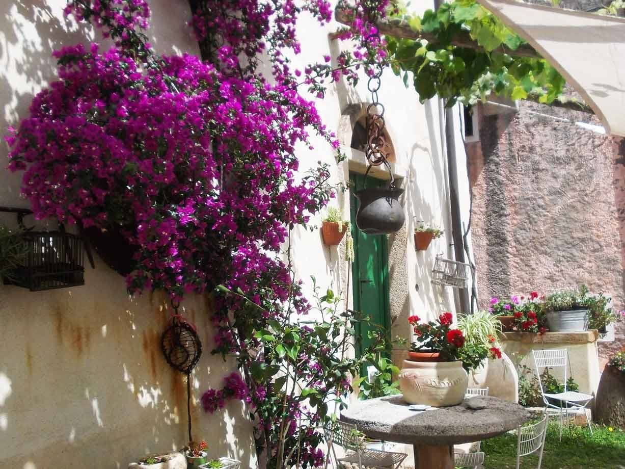 Bouganville magenta su muro bianco, tavolo di pietra con vaso di gerani