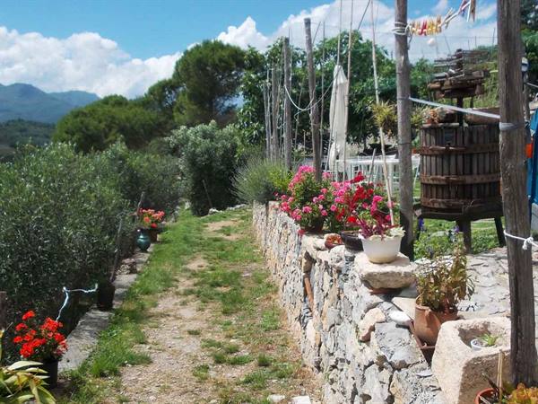Grassy path along dry stone walls with pots of red and pink flowers