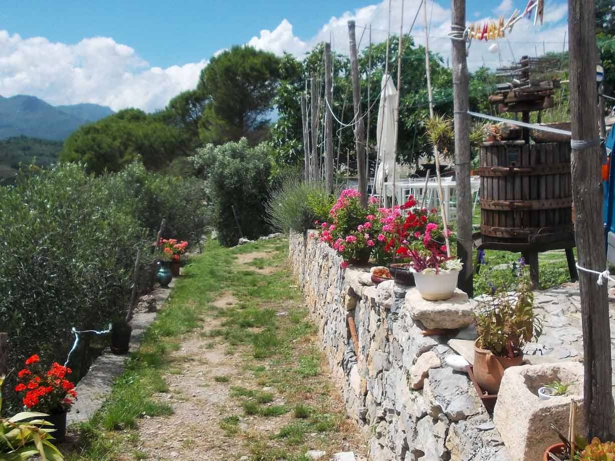 Sentiero erboso tra muretti di pietra con vasi di fiori rossi e rosa