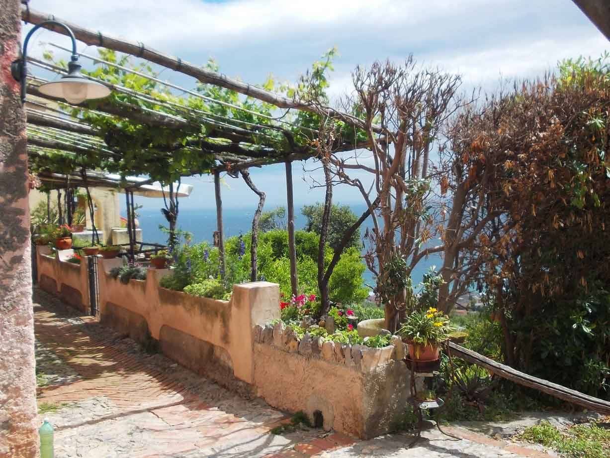 Pergolato di legno con viti e fiori su terrazza affacciata sul mare
