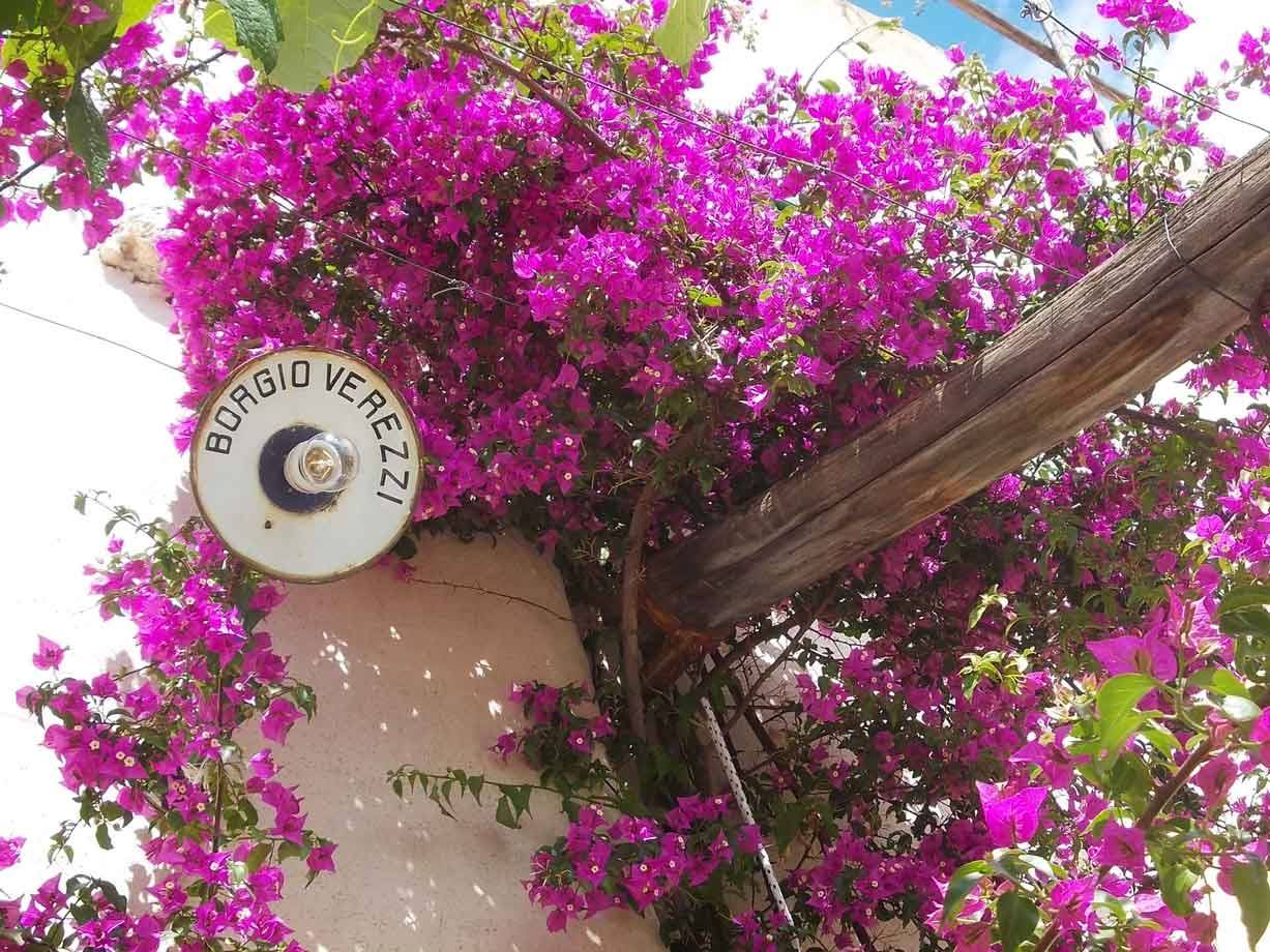 Insegna Borgio Verezzi tra bouganville fucsia su muro bianco