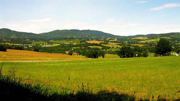 Green field in front of cultivated hills and scattered houses under blue sky
