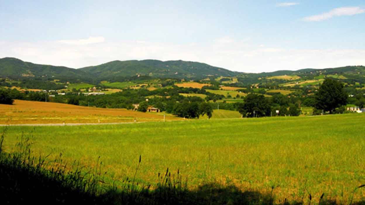 Campo verde davanti a colline coltivate e case sparse sotto cielo azzurro