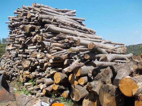 Large pile of cut logs, chainsaw in foreground, blue sky