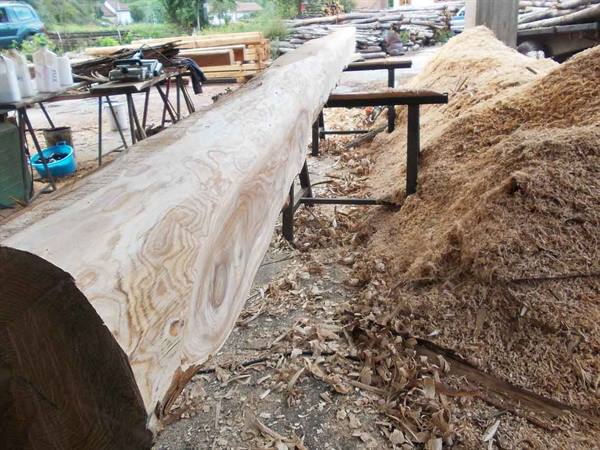 Freshly sawn log on trestles among piles of sawdust at the sawmill
