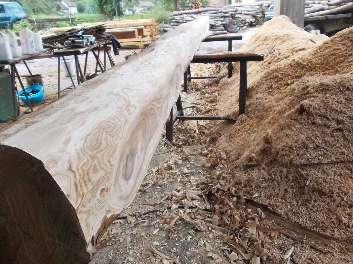 Tronco fresco di segagione su cavalletti tra cumuli di segatura nella segheria