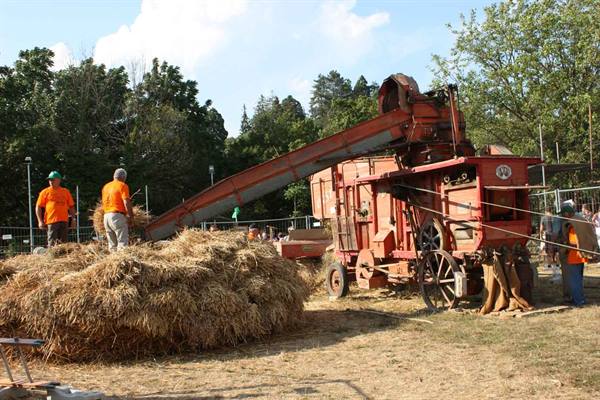 Threshing machine in red with straw pile, workers in orange shirts at country fair