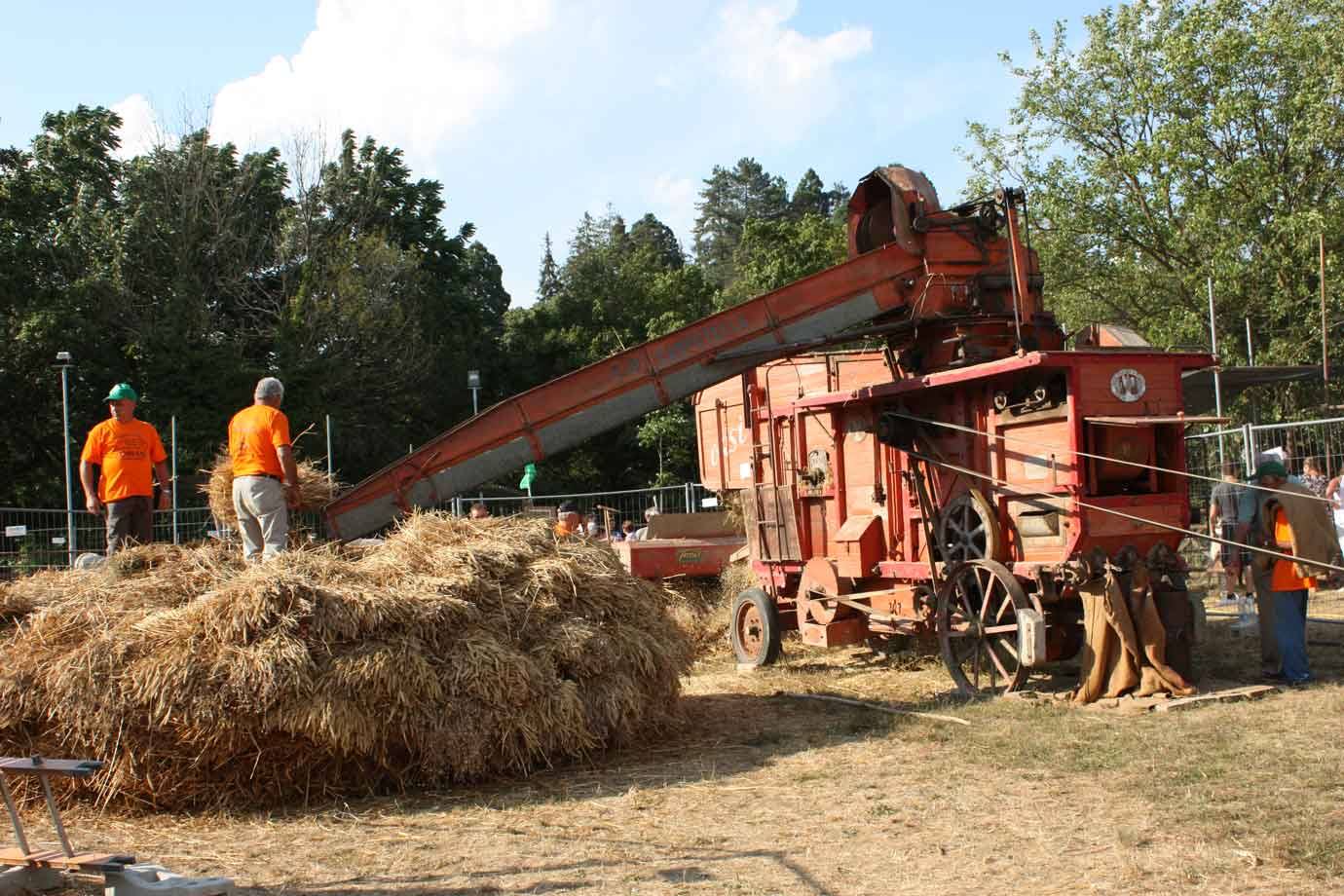 Trebia: trebbiatrice rossa con cinghia e paglia, uomini in gibba arancione al lavoro