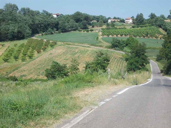 Paved road winding through cultivated hills, vineyards and brick houses under blue sky