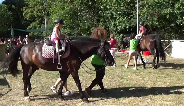Helmeted child rides a horse, led across a grassy tree-lined field