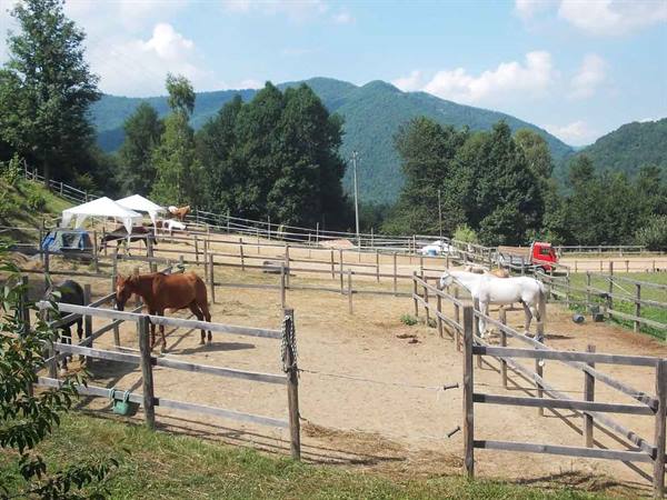 Horses in wooden paddocks, white tents, green mountains in the background