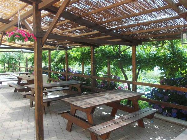 Wooden picnic tables under reed canopy, hanging flowers, filtered light