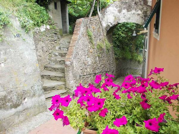 Magenta flowers in the foreground next to a stone staircase and an arch
