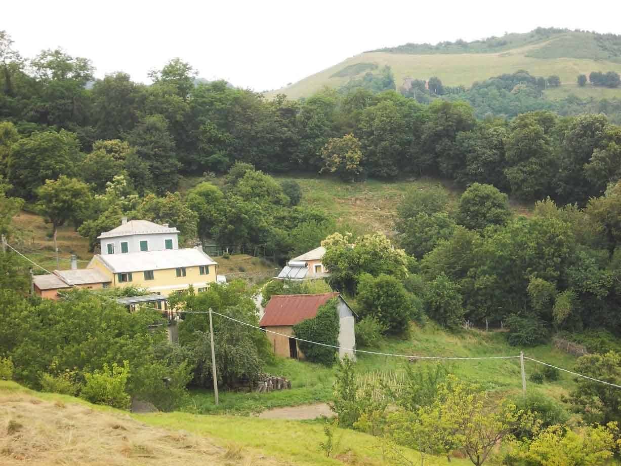 Case gialle tra boschi verdi in collina sotto cielo grigio